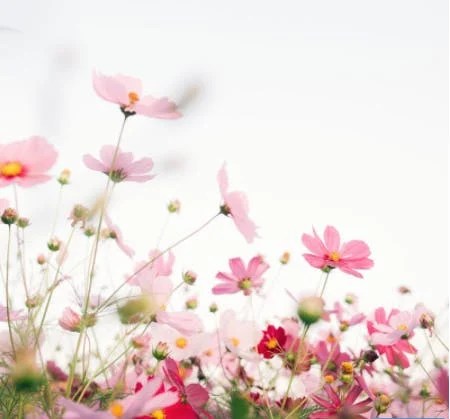 Finally Write Your Book: Yes You&nbsp;Can!